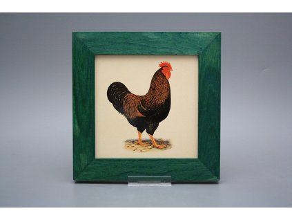 Obrázek 20x20cm Slepičky eZLB č. 1