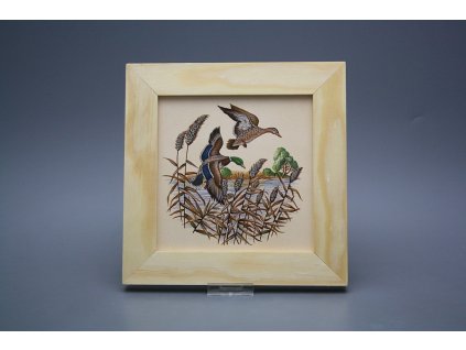 Obrázek 20x20cm Kachny ePBB č. 1