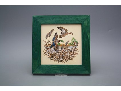 Obrázek 20x20cm Kachny eZLB č. 1
