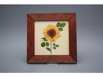 Obrázek 20x20cm Slunečnice eMHB č. 1