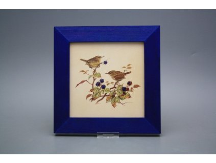 Obrázek 20x20cm Střízlík eMOB č. 1