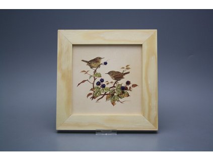 Obrázek 20x20cm Střízlík ePBB č. 1