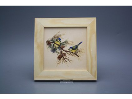 Obrázek 20x20cm Sýkorka ePBB č. 1