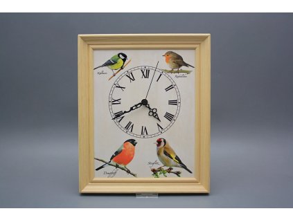 Nástěnné hodiny 25x30cm Ptačí svět cPB č. 1