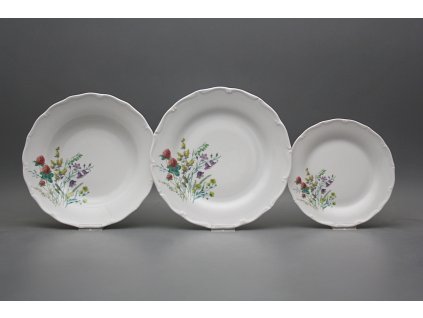 Talířová souprava Verona Kvetoucí louka motiv C 36dílná HBB č. 1