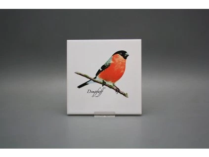 Obklad 15x15cm Hýl WL č. 1