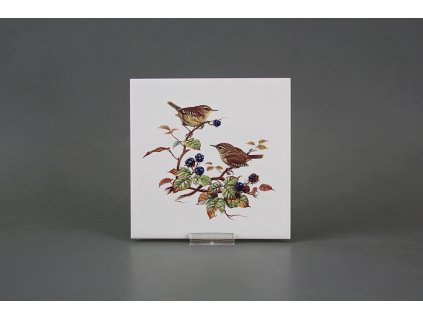 Obklad 15x15cm Střízlík WL č. 1