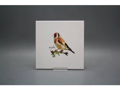 Obklad 20x20cm Stehlík WM č. 1