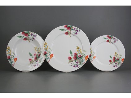 Talířová souprava Nina Kvetoucí louka 24dílná motiv A CBB č. 1