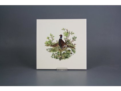 Obklad 20x20cm Bažant LBM č. 1