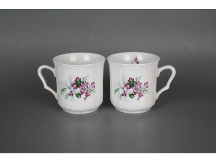 KUDVIM KAREL VIOLA S MAŠLÍ BB