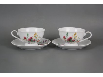 ASTKVL ŠAPO NÍZKÉ ASTRA KVETOUCÍ LOUKA MOTIV A BB 1