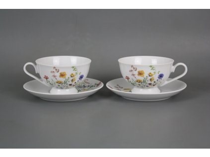 ASTKVL ŠAPO NÍZKÉ ASTRA KVETOUCÍ LOUKA MOTIV B BB 1