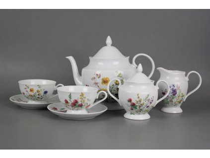 ASTKVL ČAJOVÁ SOUPRAVA ASTRA KVETOUCÍ LOUKA RŮZNÉ MOTIVY