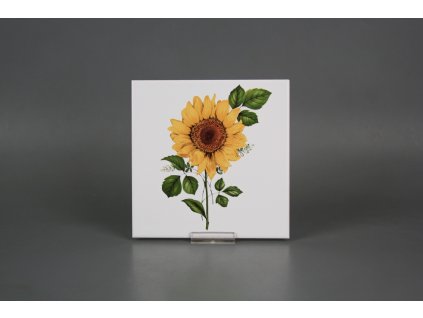 RCOBIL OBKLAD RAKO BÍLÁ LESKLÁ SLUNEČNICE