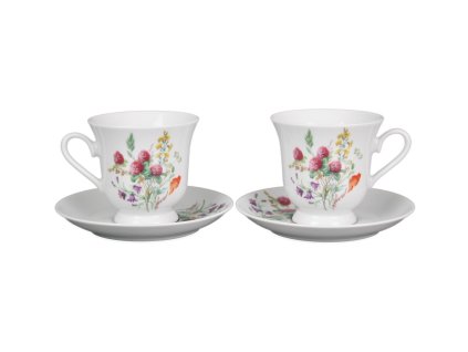 ASTKVL ŠAPO VYSOKÉ ASTRA KVETOUCÍ LOUKA MOTIV A HBB 1