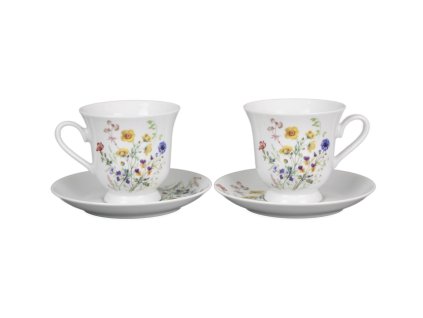 ASTKVL ŠAPO VYSOKÉ ASTRA KVETOUCÍ LOUKA MOTIV B HBB 1