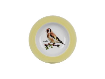 NINPTS TH22 STEHLIK IYP