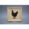 Obrázek 19,5x19,5cm Slepičky cPBB č. 1