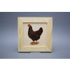 Obrázek 20x20cm Slepičky ePBB č. 8
