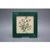 Obrázek 20x20cm Herbs eZLB č. 4