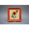 Obrázek 19,5x19,5cm Slunečnice cCMB č. 1
