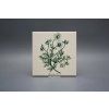 Sada obkladů 15x15cm 6dílná Herbs LBM č. 4