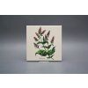 Sada obkladů 15x15cm 6dílná Herbs LBM č. 6