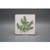 Sada obkladů Forli Blanco 15x15cm 6dílná Herbs Classic č. 3