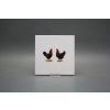 Obklad 15x15cm Slepičky v páru WM č. 4