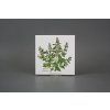Sada obkladů 15x15cm 6dílná Herbs Classic WM č. 2
