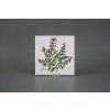Sada obkladů 15x15cm 6dílná Herbs Classic WM č. 4