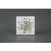 Sada obkladů 15x15cm 6dílná Herbs Classic WM č. 6