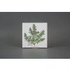 Sada obkladů 15x15cm 6dílná Herbs Classic WM č. 7