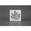 Sada obkladů 15x15cm 6dílná Herbs Classic WL č. 7