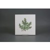 Sada obkladů 20x20cm 6dílná Herbs Classic WL č. 2