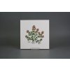 Sada obkladů 20x20cm 6dílná Herbs Classic WL č. 3