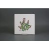 Sada obkladů 20x20cm 6dílná Herbs Classic WL č. 1
