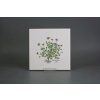 Sada obkladů 20x20cm 6dílná Herbs Classic WM č. 2