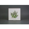Sada obkladů 20x20cm 6dílná Herbs Classic WM č. 3