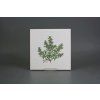 Sada obkladů 20x20cm 6dílná Herbs Classic WM č. 5