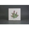 Sada obkladů 20x20cm 6dílná Herbs Classic WM č. 6