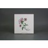 Sada obkladů 20x20cm 6dílná Herbs WM č. 2