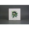 Sada obkladů 20x20cm 6dílná Herbs WM č. 4