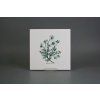 Sada obkladů 20x20cm 6dílná Herbs WM č. 5