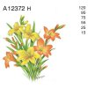 A12372 H – LILY