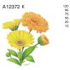 A12372 K – MARIGOLD