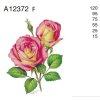A12372 F – ROSE