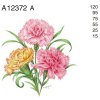 A12372 A – CARNATION