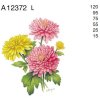 A12372 L – CHRYSANTHEMUM